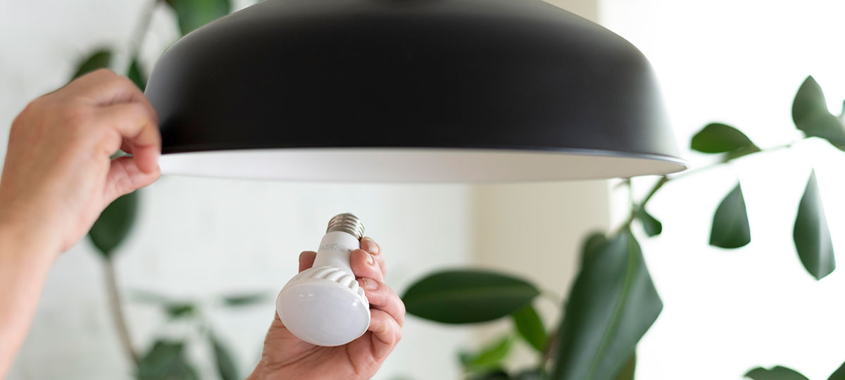 Best Eye-Friendly Lighting Alternatives